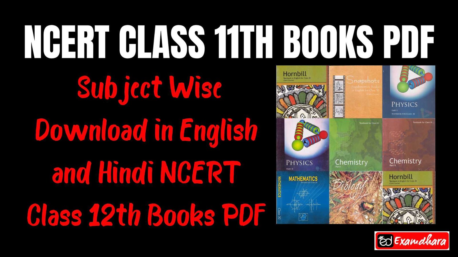 NCERT Class 11th Books PDF: Subject Wise Download PDF in English and Hindi Medium